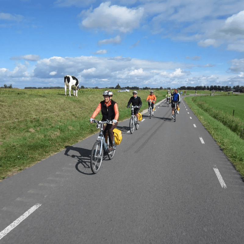 Webdesign Lelystad, Project Direct, Timo van Tilburg, Snel een Webdesigner Lelystad, Website laten maken Lelystad, Website laten bouwen Lelystad, SEO Lelystad, SEA Lelystad, Online Marketing Lelystad, Wordpress Lelystad, Zoekmachine optimalisatie Lelystad
